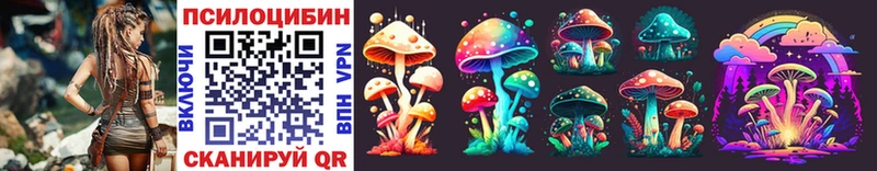 Купить где  Магас  Псилоцибиновые грибы Magic Shrooms 